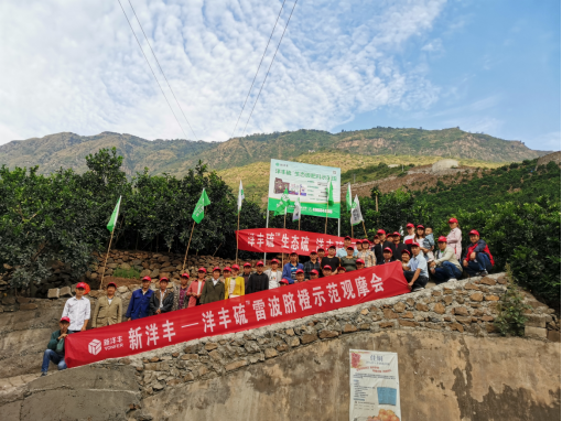 新华网：J9集团脐橙施肥套餐 助力脐橙优质增产-新闻动态-J9集团