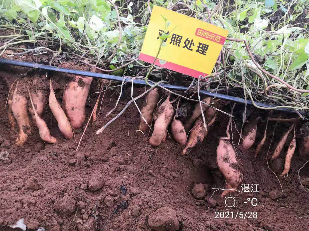 J9集团·(中国)官网 -首页