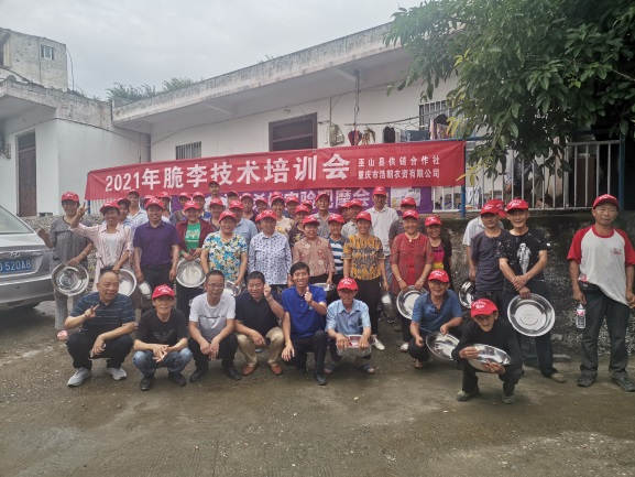 图片5两场莳植手艺培训观摩会现场.jpg