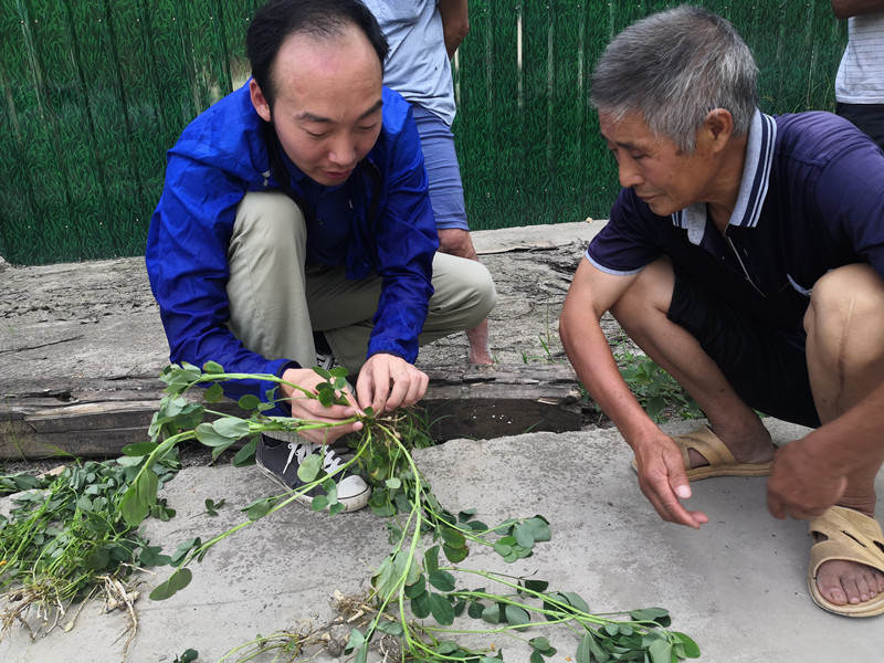 杨弘在给花生莳植户解说灾后复产手艺2_副本.jpg