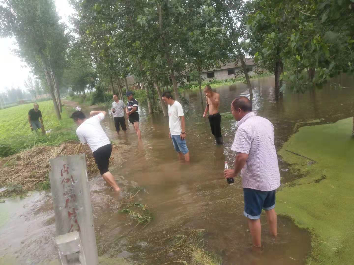 指导朝天椒莳植户排涝.jpg