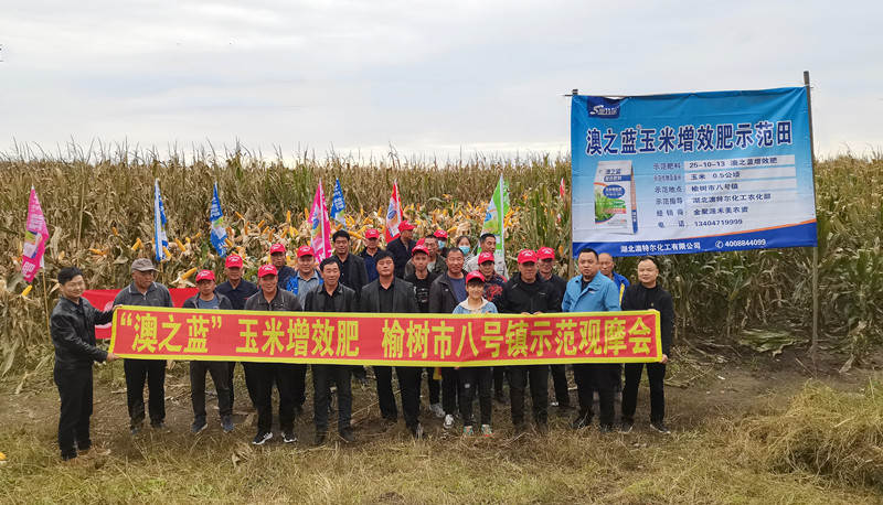 观摩会现场3_副本.jpg