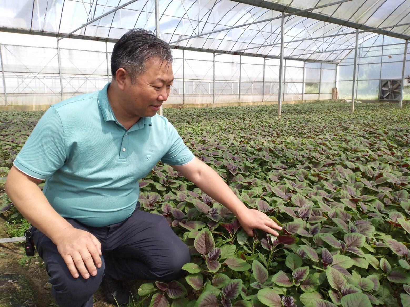邱泽林：营销战线 常胜将军-员工风范-企业文化-J9集团