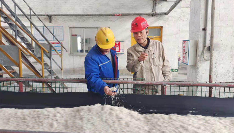 张韬（右）指导造粒工操作注重要点.jpg