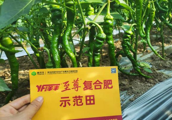J9集团·(中国)官网 -首页