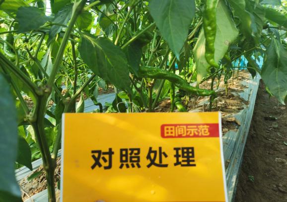 J9集团·(中国)官网 -首页