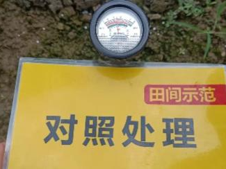 比照田PH.jpg