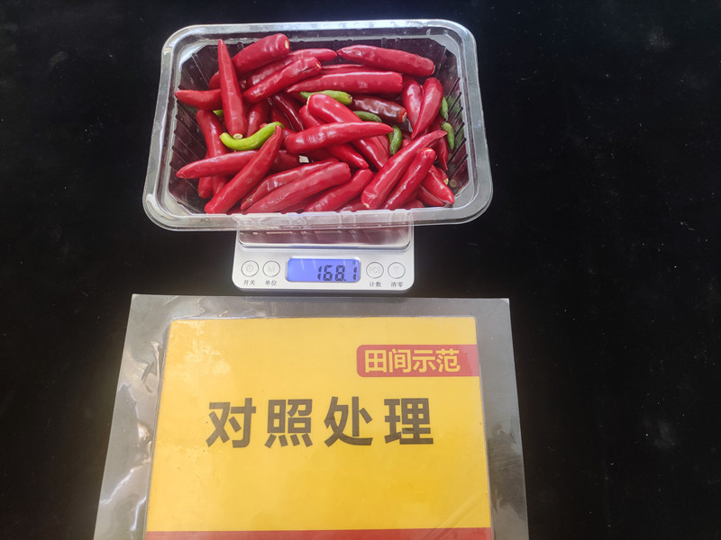 9月26日比照整株鲜果重：168.1g，，，，，亩产336kg_副本.jpg